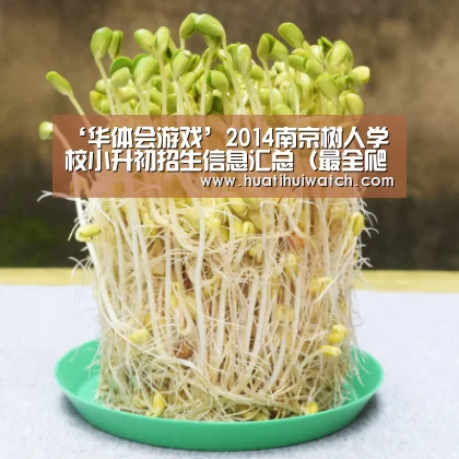 华体会游戏