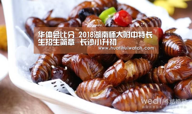 华体会数据