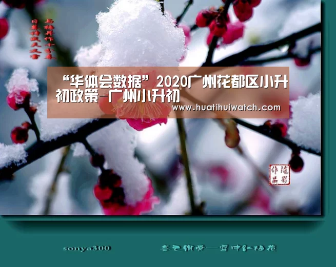 “华体会数据”2020广州花都区小升初政策-广州小升初(图2) 华体会游戏